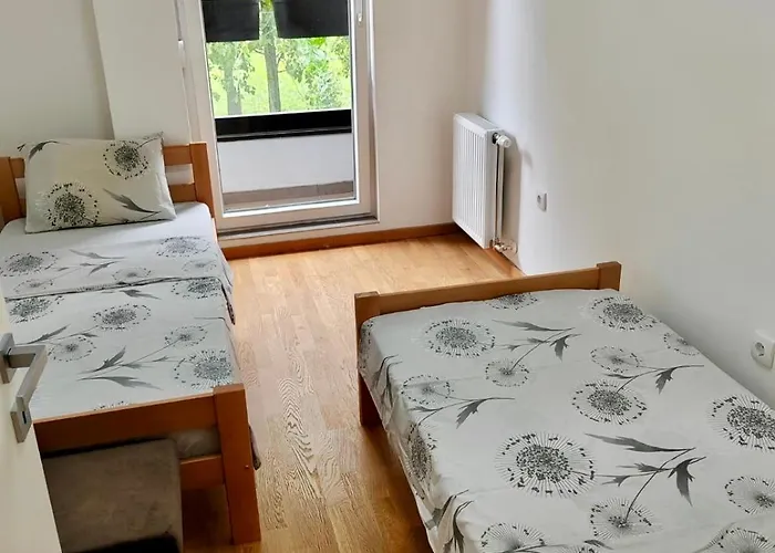 Safari * Petrovaradin