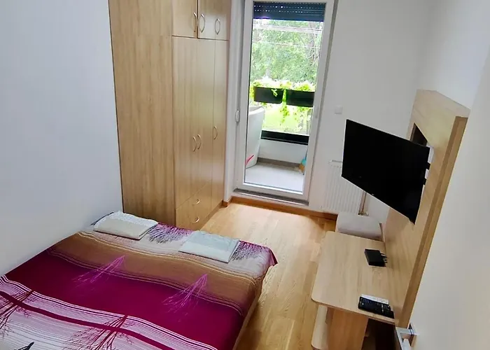 Safari * Petrovaradin